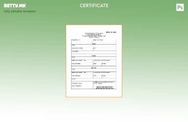 модерен стил Малезија Шаблон за извод од матична книга на родените за регистраци